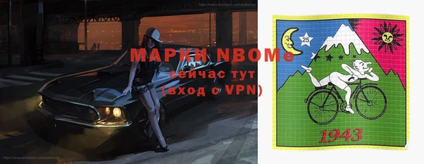 индика Аркадак