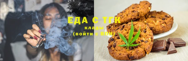 индика Аркадак