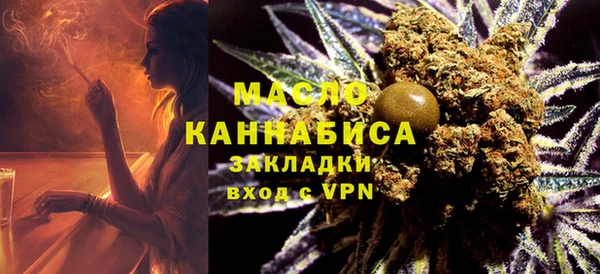 индика Аркадак