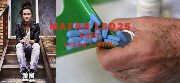 индика Аркадак