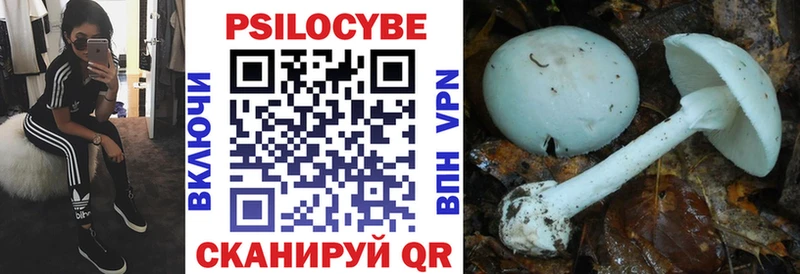 Псилоцибиновые грибы Cubensis Колпашево